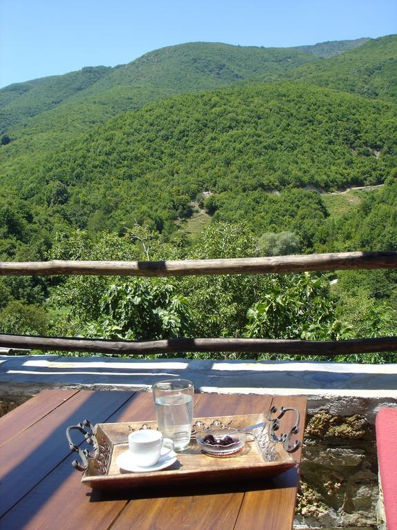 Βίλλα Βαδόλα Ξενοδοχείο Αρκοχώρι Εξωτερικό φωτογραφία